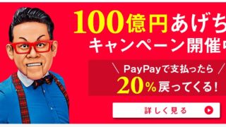 paypayキャンペーンページ