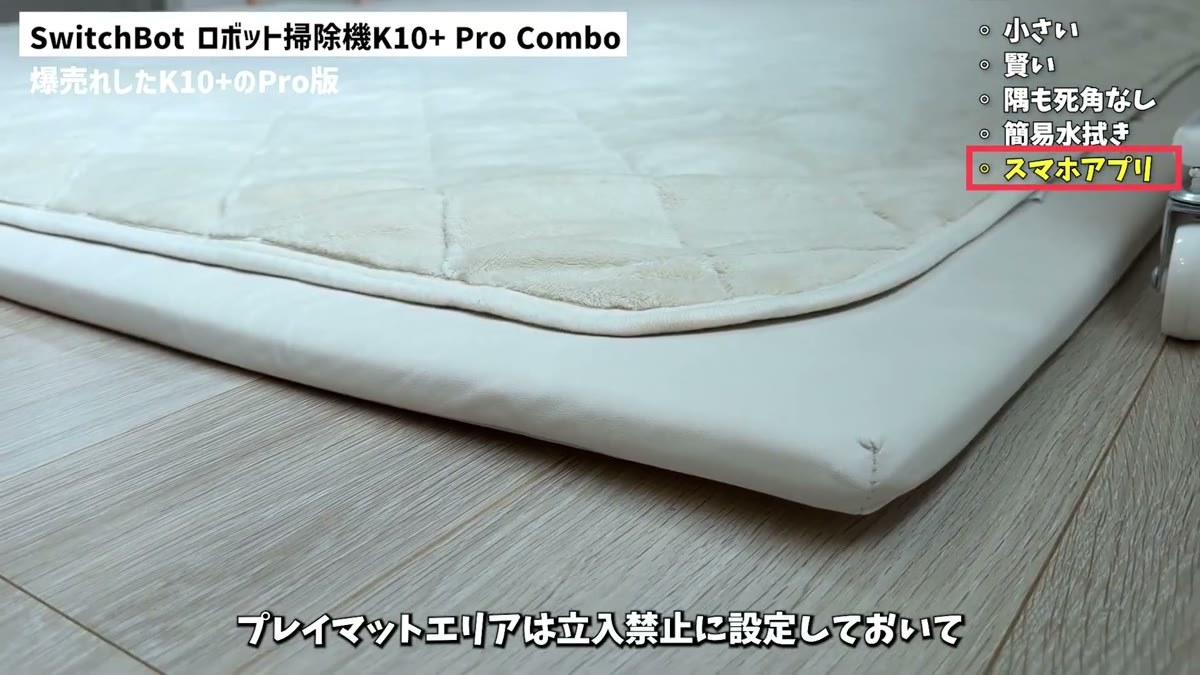 高さ4cmのプレイマットは立ち入り禁止エリアに設定