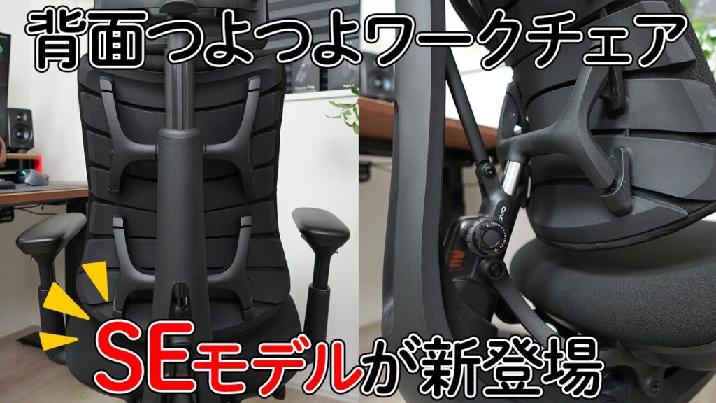 LiberNovo Omni SEレビュー サムネイル